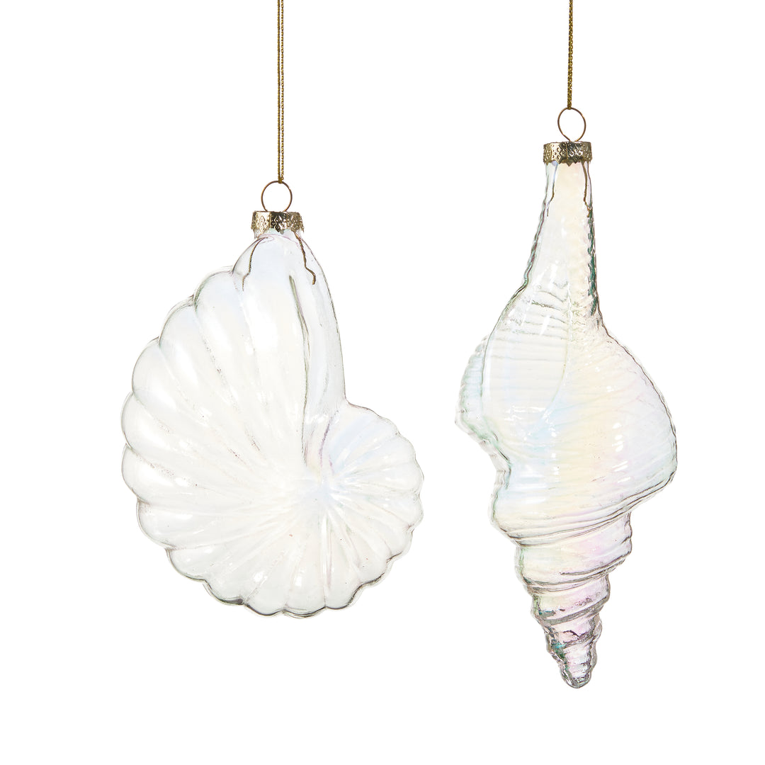 RAZ 6.5" Iridescent Sea Shell Ornaments - Set of 2