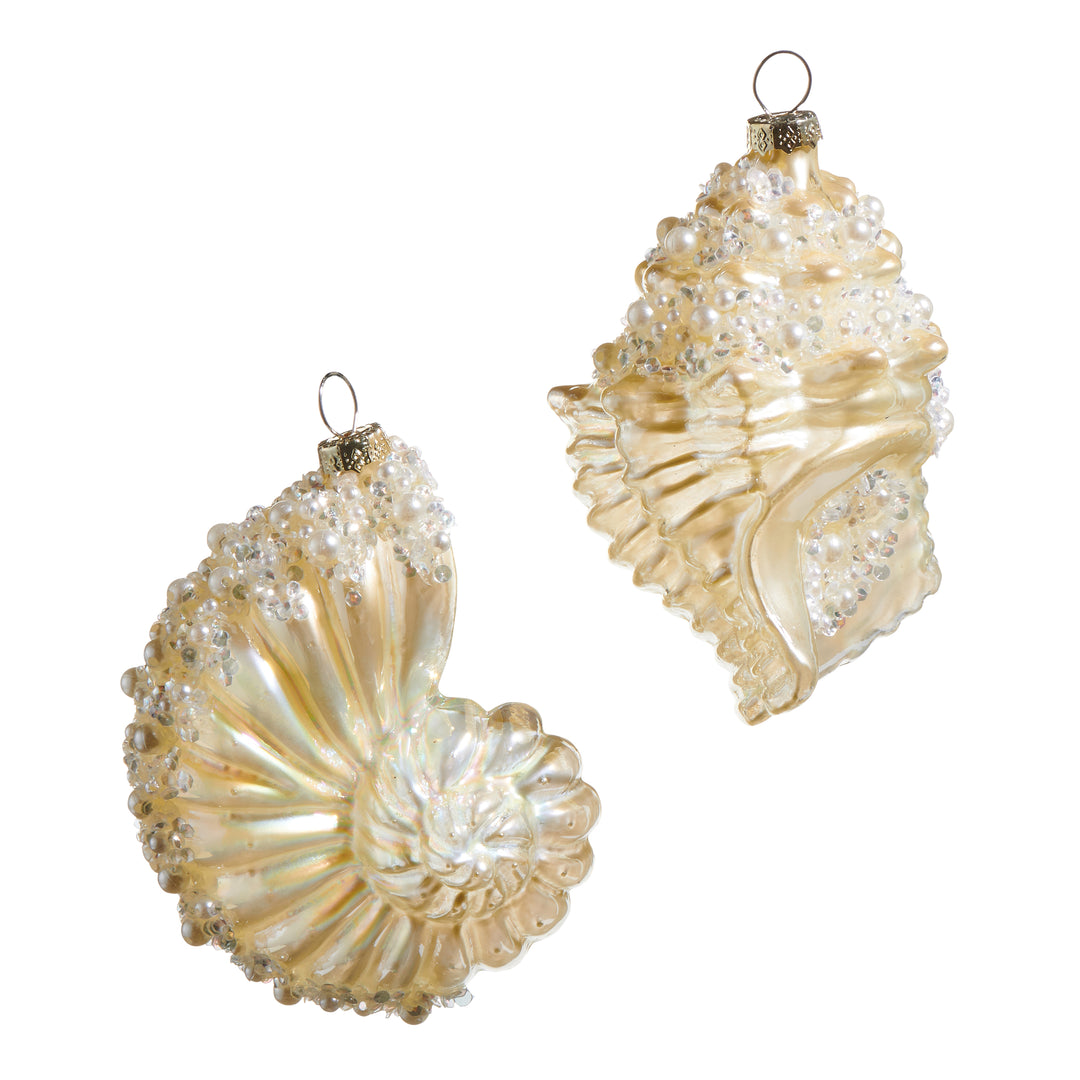 RAZ  4.25" Sea Shell Ornament - Set of 2