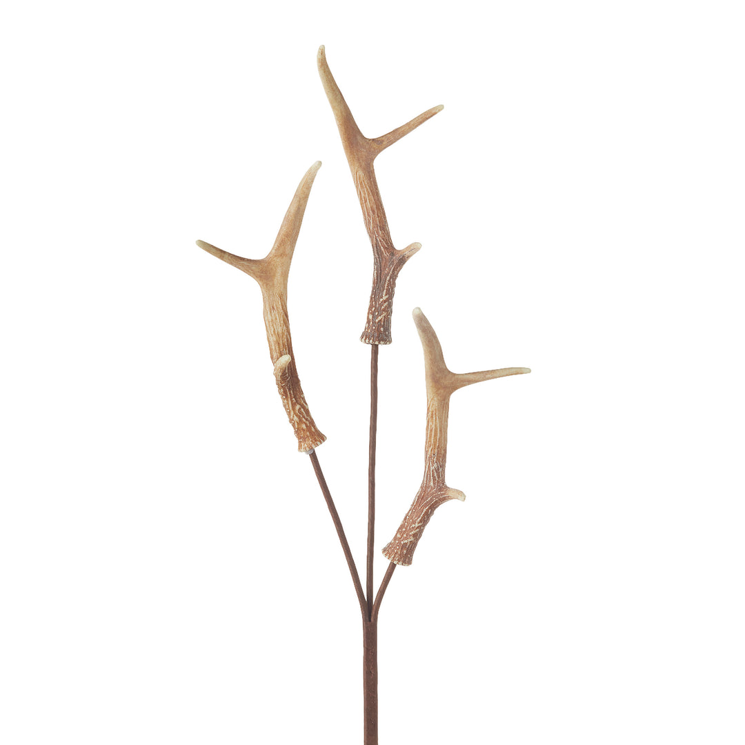 RAZ 34" Natural Antler Spray