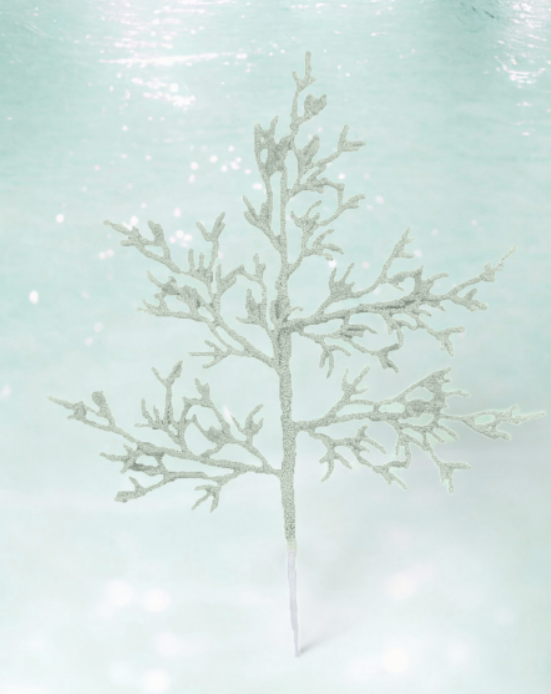 Seafoam Coral Pink Pic
