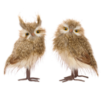 11" Furry  Owl in Brown and Cream - Set of 2