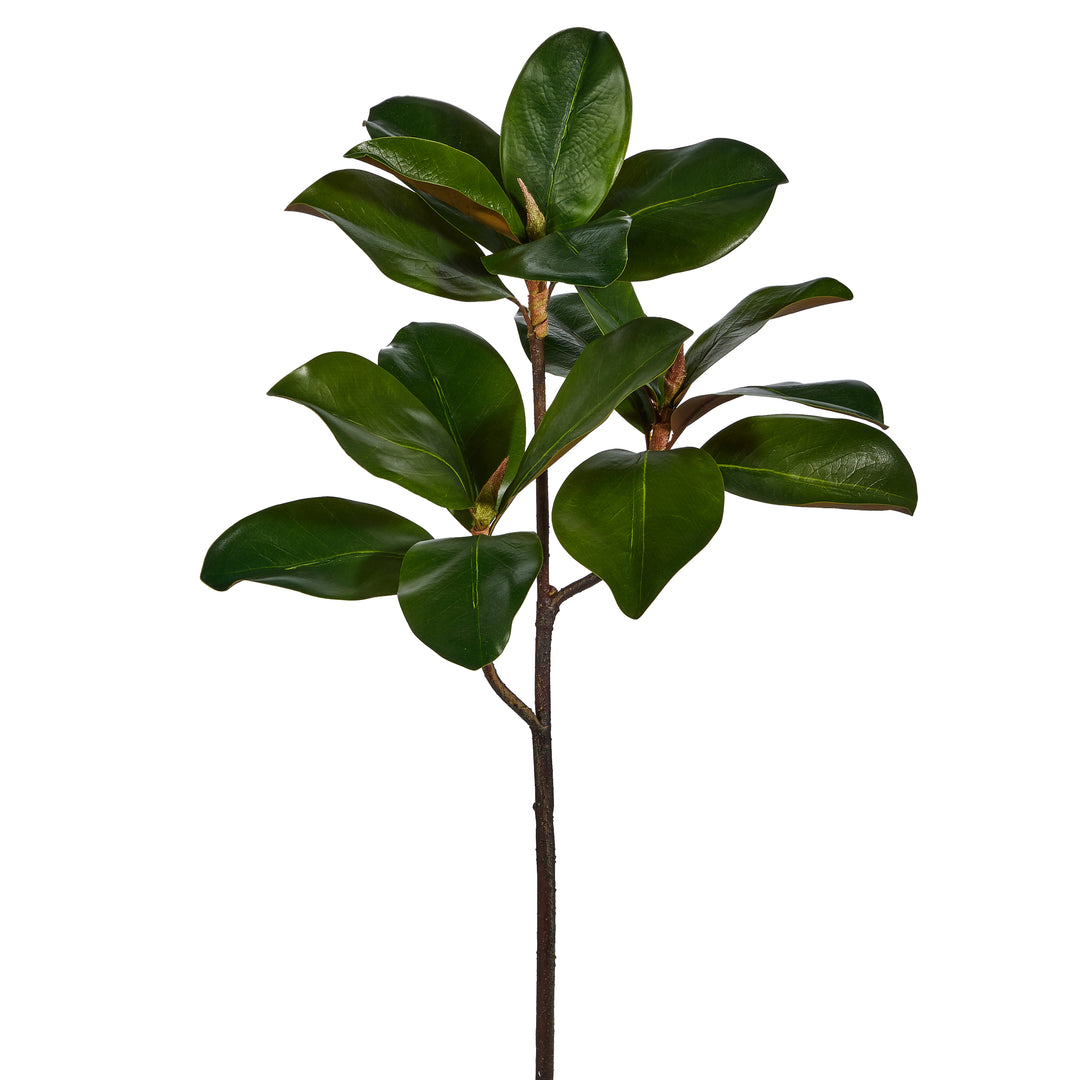 RAZ 24" Magnolia Leaf Branch