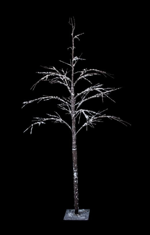 Pine Christmas Tree 5 ft