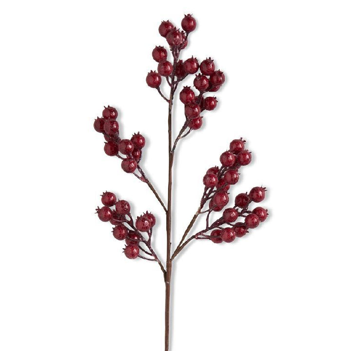27" Red Crackle Glitter Rosehip Stem
