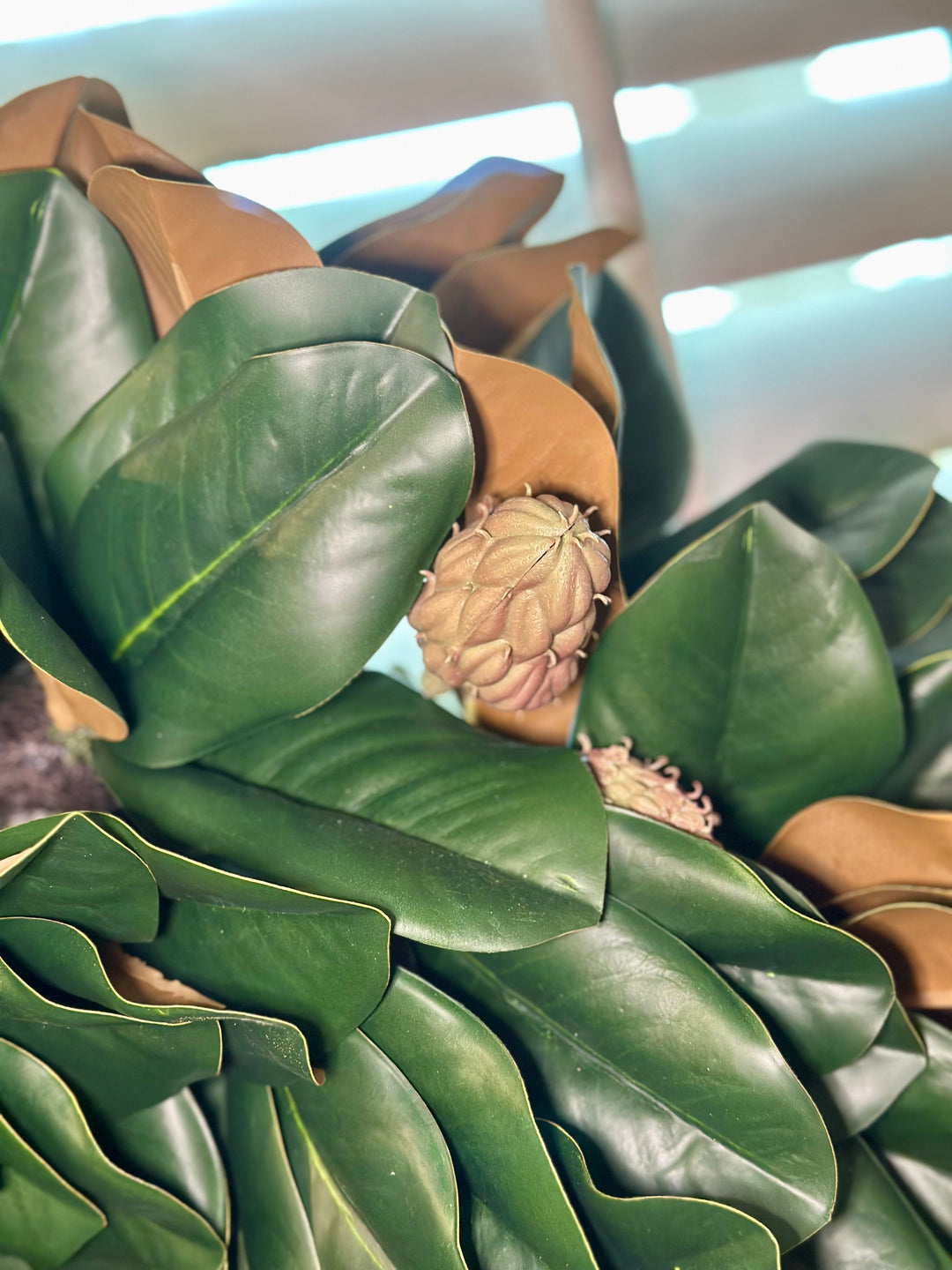 24" Live Look Magnolia Wreath