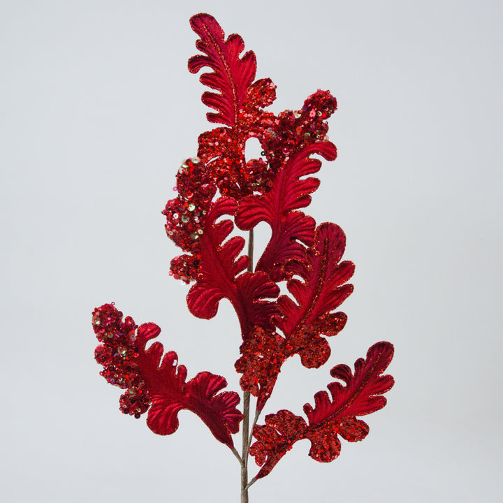 CHRISTMAS ACANTHUS - Red or Black