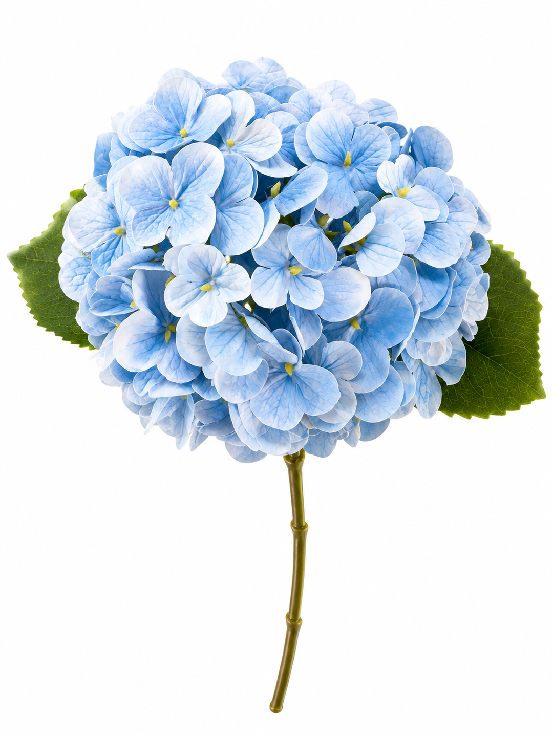 20" Light Blue Real Touch Hydrangea Stem