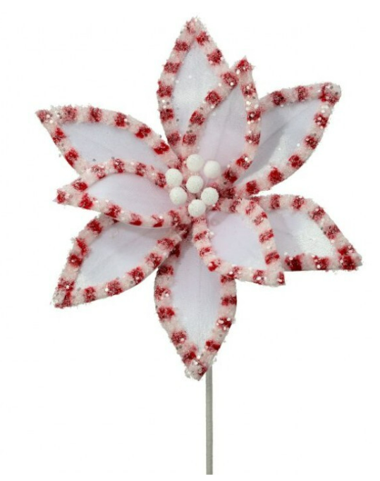 22" Candy with Snow glitter Poinsettia Stem - White and Red Brite