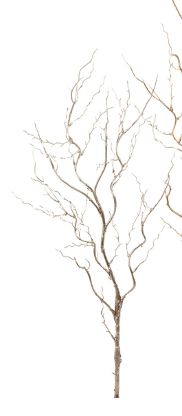 RAZ 40" Manzanita Branch - Choice or Silver or Gold