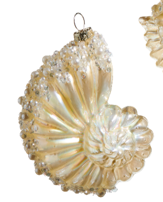 RAZ 4.25" Sea Shell Ornament - Choice of shell
