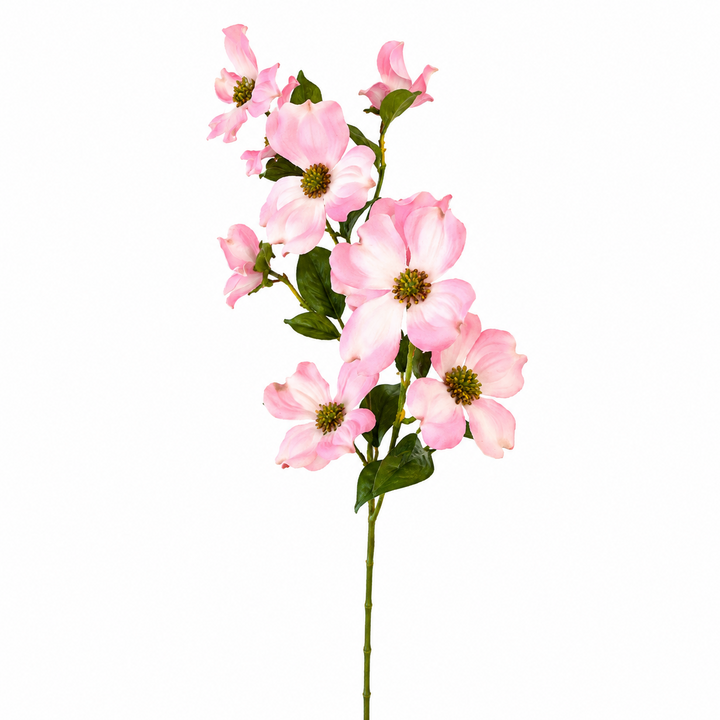 40" North American Dogwood Spray floral pic - Pink or White