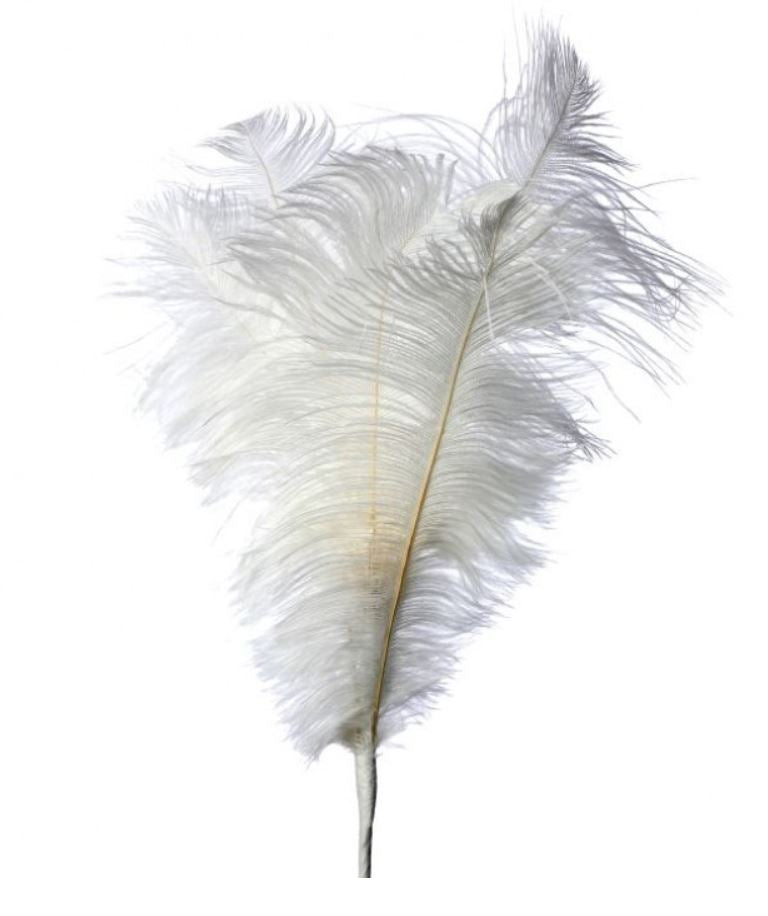 22" Faux Ostrich Plume Feather Spray